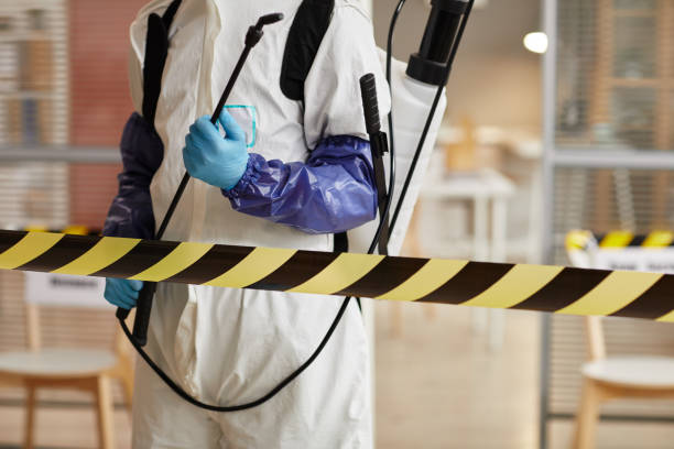 Professional Sewage Cleanup technician working in Pomeroy, PA